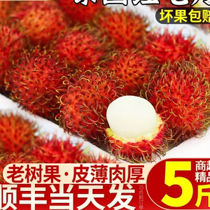 顺丰大果红毛丹新鲜水果红牡丹毛荔枝当季整箱包邮10