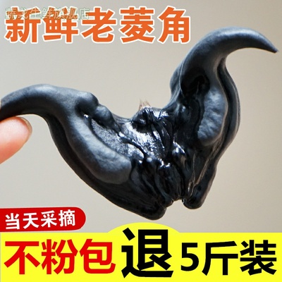 2025新鲜菱角5斤生吃当季水果蔬菜食种植苗种子现摘老菱角