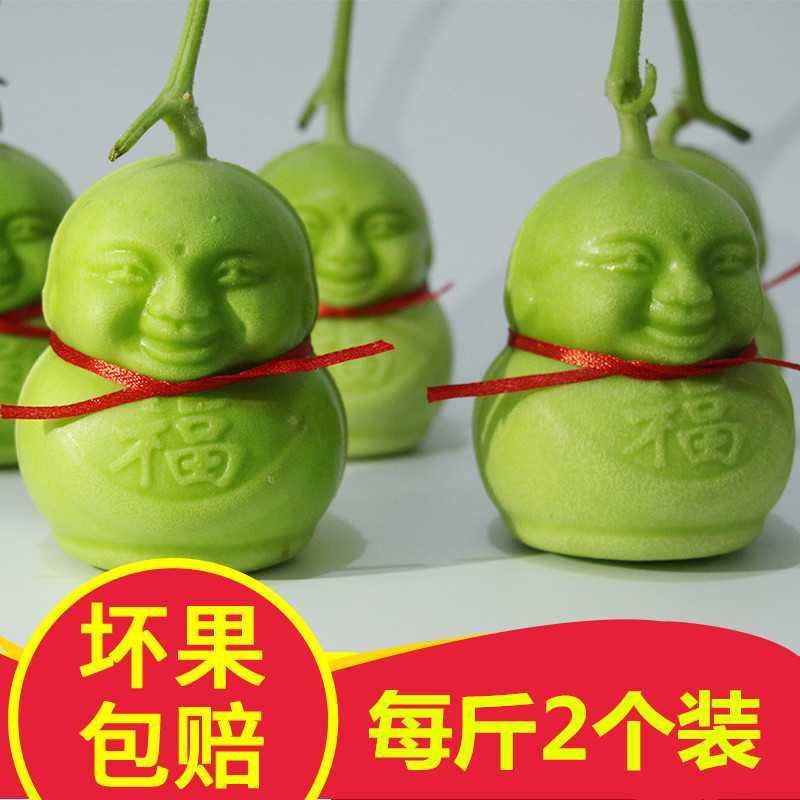 福娃人参果水果人参果娃娃果人形果长寿果礼品圆果 精美2个装