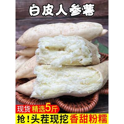 味粒果新鲜现挖中国大陆