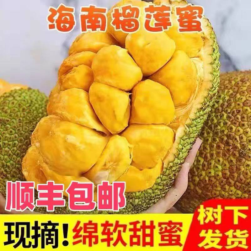 海南榴莲蜜应当季水果香甜软糯热带水果菠萝蜜一整个榴莲新鲜顺丰