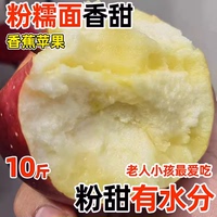 秦冠蘋果粉面沙甜蘋果寶寶刮果泥老年人吃新鮮綿棉水果孕婦紅香焦