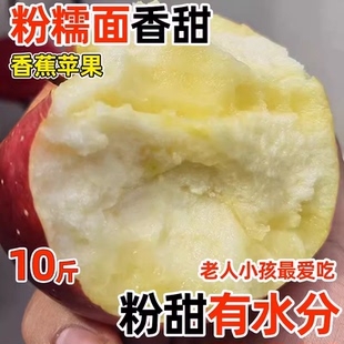 秦冠苹果粉面沙甜苹果宝宝刮果泥老年人吃新鲜绵棉水果孕妇红香焦