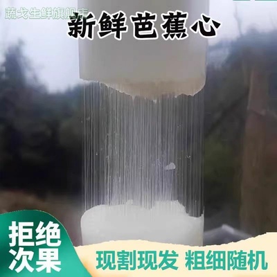 芭蕉心拉丝直播实心天然芭蕉杆