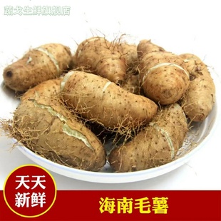 2025海南定安农家现挖毛薯甜薯新鲜开挖粗粮1斤试吃蒸煮海南特产