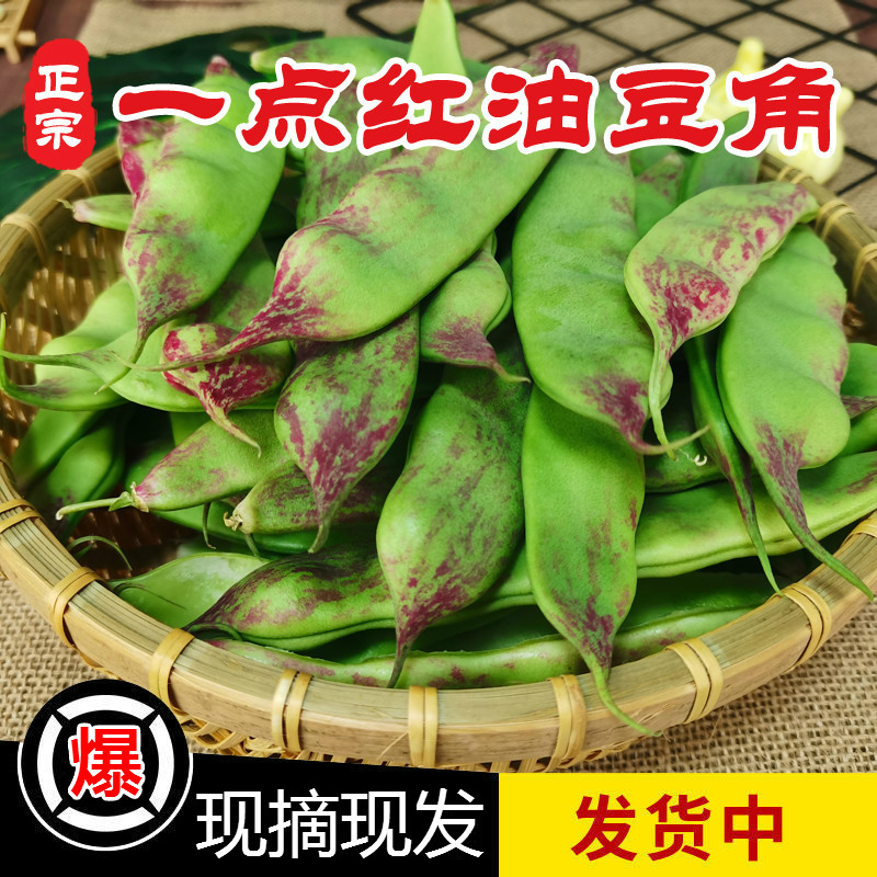 【精品】东北一点红油豆角九月青新鲜蔬菜现摘面豆角开锅烂图片