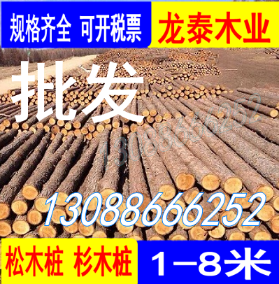 温州松木桩河道木桩打桩木挡土原木实木桩抗洪防汛松木桩落叶
