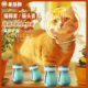 猫脚套防抓防咬猫头套剪指甲神器洗澡驱虫防猫抓猫爪套防猫咬头套