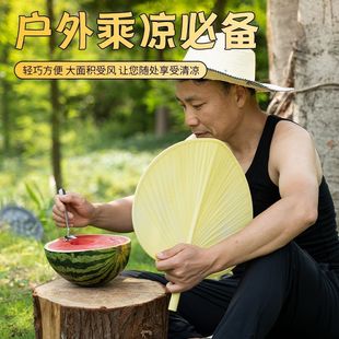 扇子家用芭蕉扇子老式 蒲扇塑料手摇加厚加大防摔坏夏季 家用大蒲扇