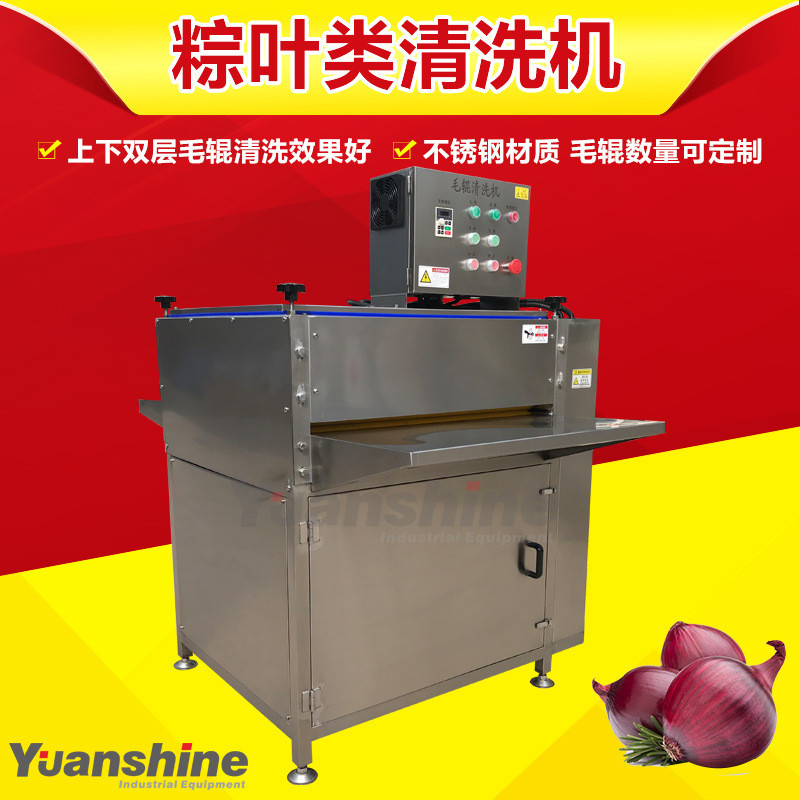 全自动粽叶毛辊清洗机薄荷叶加工苇叶清洗机粽子芦流水线设备