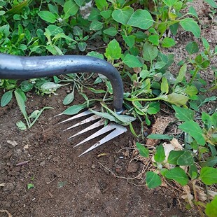 扫墓割草机清明拜山懒人坟头除草神器家用小型轻便钓鱼开荒锄厂家