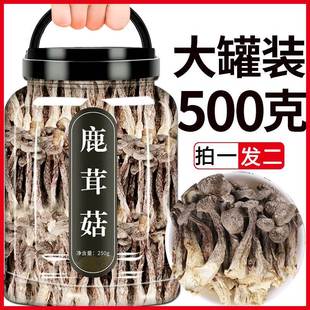 现货鹿茸菇干货特级蘑菇菇类煲汤官方旗舰店新鲜云南野生鹿茸菌干