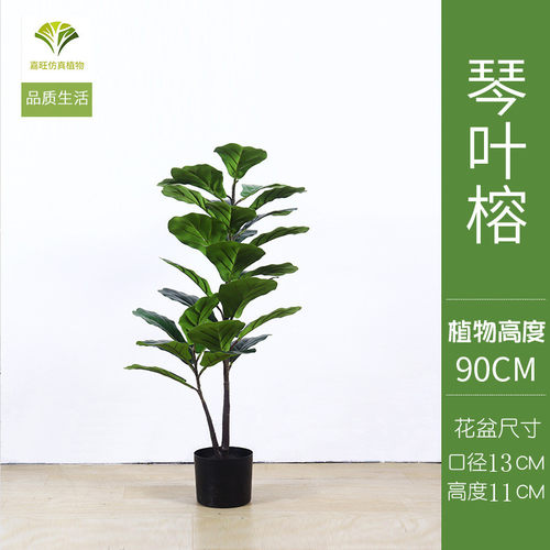 无花果fig琴叶榕办公室室内仿真绿植落地盆栽北欧风热带植物
