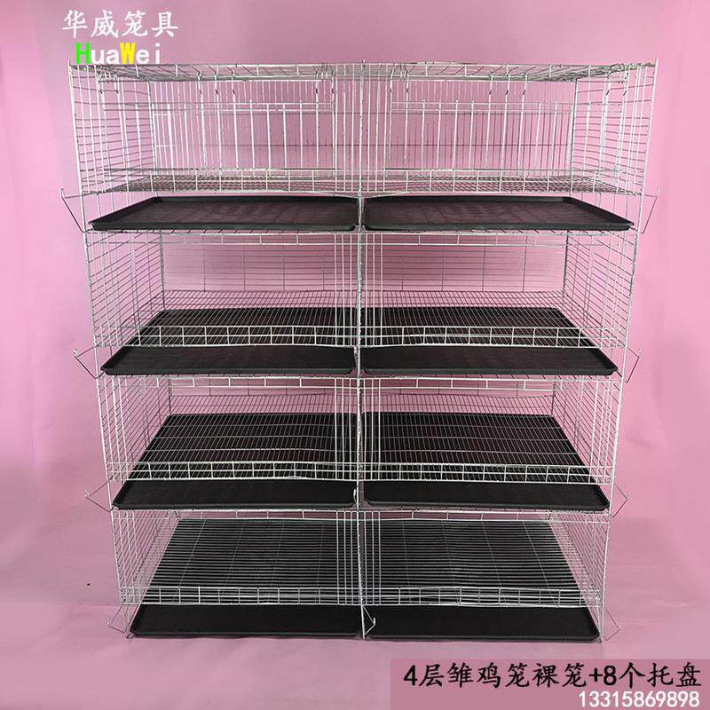 小鸡育雏笼加密小鸡笼子育雏养殖苗兔笼养殖场多功能小鸡仔饲养箱