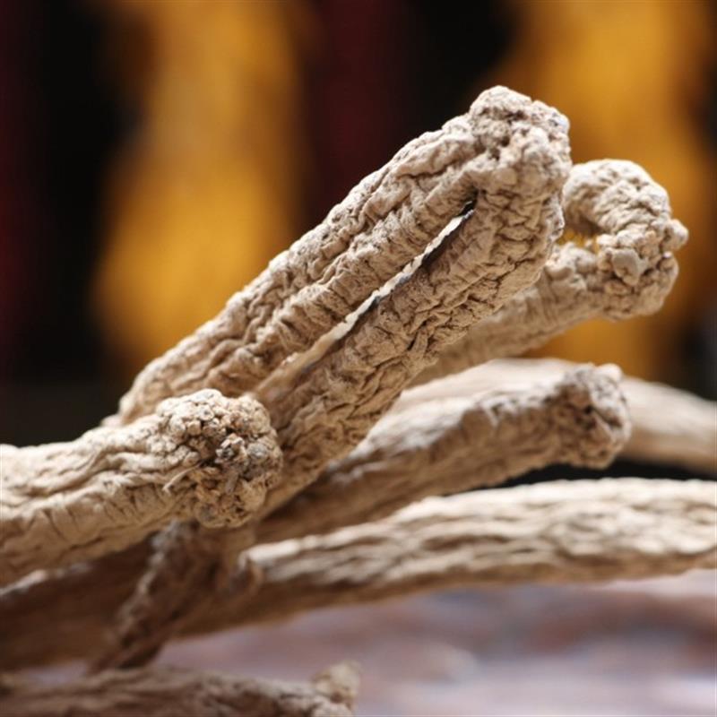 【张金助农】大巴山党参正品