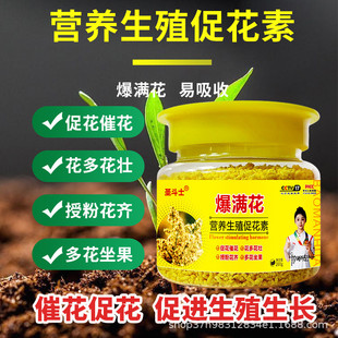 爆满花花满球专用花催素促进花芽分化开花授粉妃子笑荔枝龙眼枇杷