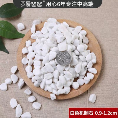 竹林风造景植物绿竹装饰大型假田园景观橱窗墙角落地摆件