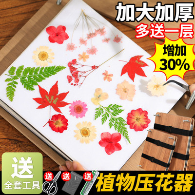 押花器压花板植物标本制作干燥板干花手工diy工具材料相框压花器