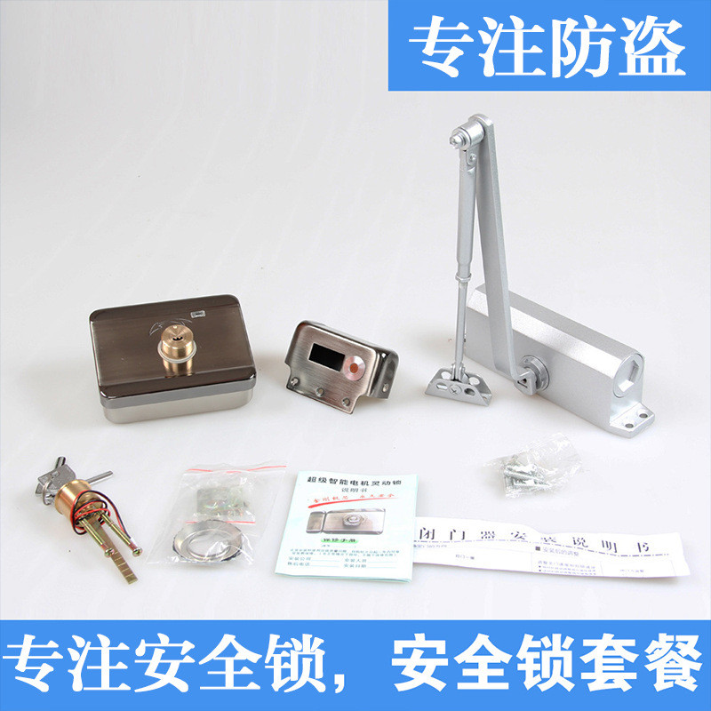 添固电控锁静音电机锁套餐门禁电源器摇控器闭门智能器门禁锁具