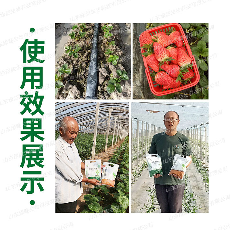 绿陇哈茨木霉菌克型土传病害改良土壤死苗烂根枯萎1000根部包邮