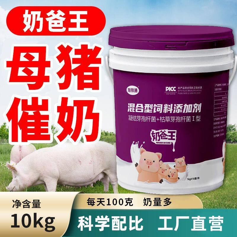 旭牧通奶爸王母猪催奶下奶兽用猪用快速下奶奶多多母猪正牌奶厂家