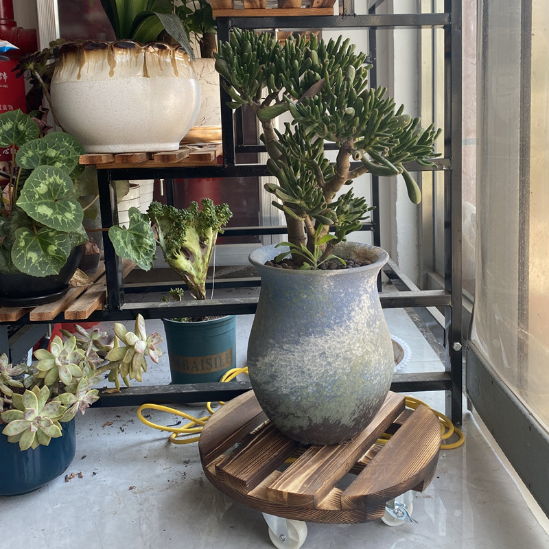 实木碳化方便移动花盆托盘承重万向轮花盆底托盆栽加厚托架带刹车