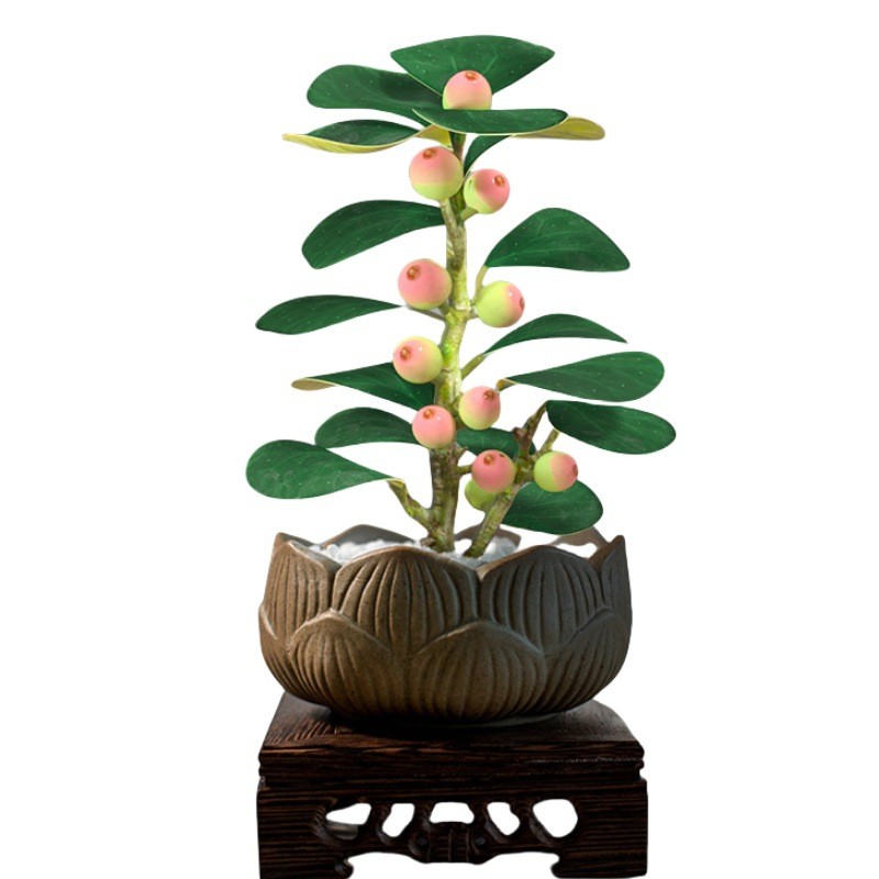 盼小菩提树盆栽植物室内盆景带果好养中式禅意办公室桌面摆件花卉