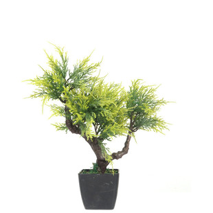 仿真树叶子盆栽小柏树地崖柏松柏植物叶落侧柏叶室内外装饰批发