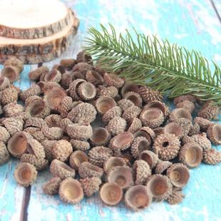 森系天然橡子橡果装饰手工果壳挂件橡干花圣诞布景幼儿园环创摆件