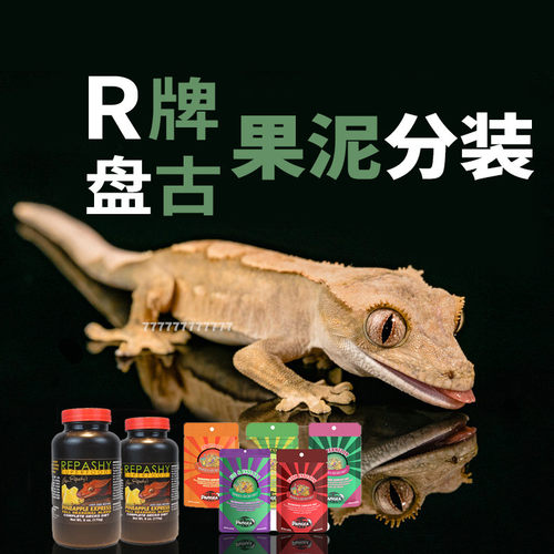 PANGEA盘古果泥睫角守宫盖勾亚守宫果泥分装R牌果泥分装50g100g