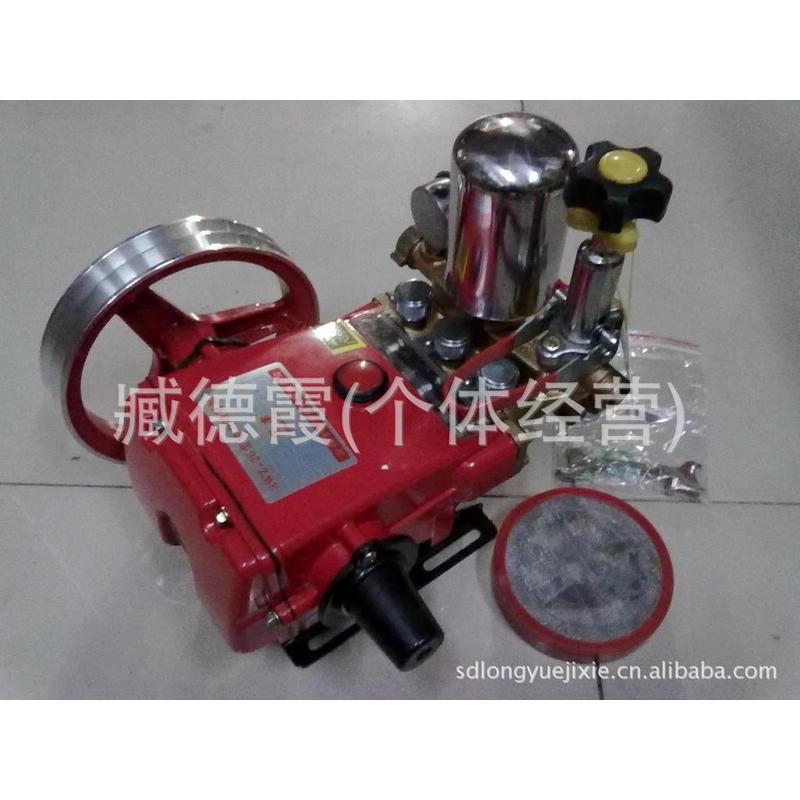 高压果林药泵打药泵喷药机喷雾器药泵水泵高压清洗机