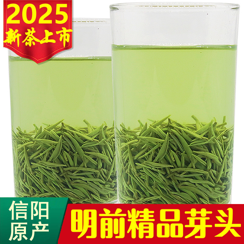 信阳毛尖2025新茶明前头采特级嫩芽茶叶绿茶散装精品手工春茶250g