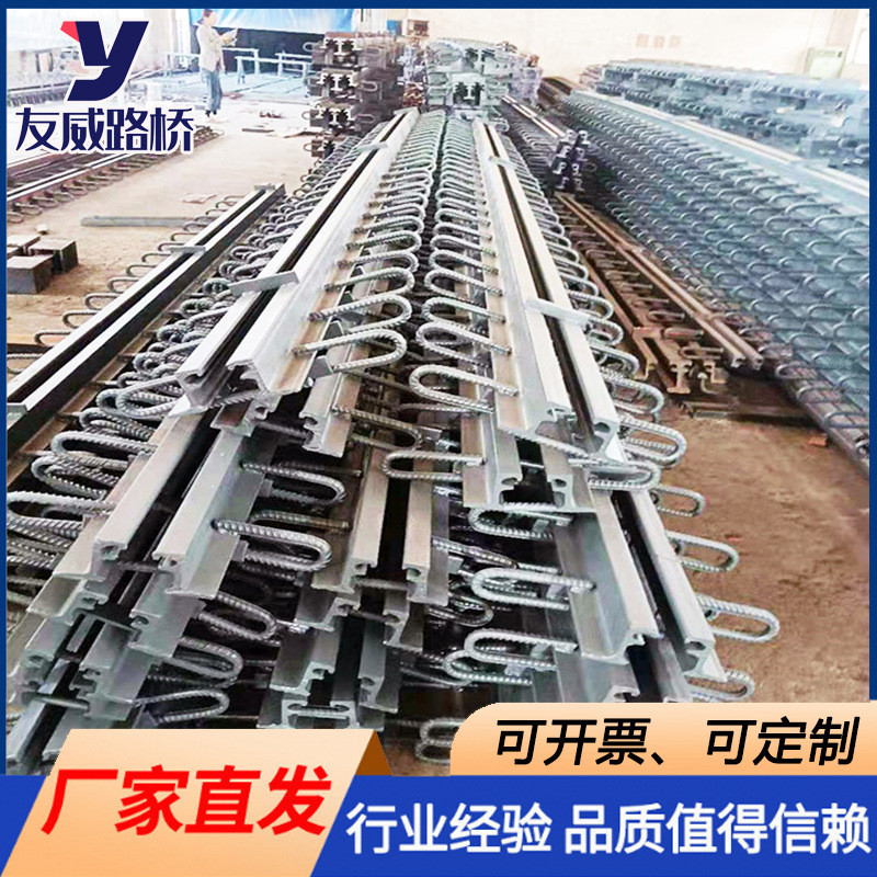 桥梁伸缩缝板式公路桥梁伸缩40型/60型/80型异伸缩缝型钢