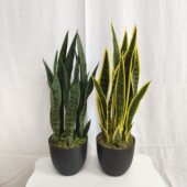 ins风格 仿真绿植盆栽家居落地饰品摆件橱窗森系造景仿真虎皮兰