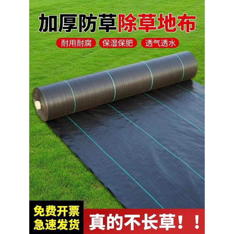 防草布除草草耐用遮布布果园果树专用防草布地膜地布批发厂家直销,鲜花速递/花卉仿真/绿植园艺,园艺用品套装,淘宝优惠券,粉丝福利购,淘宝优惠卷