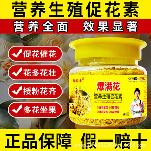 爆满花花满球花催专用素促进花芽分化开花授粉妃子笑荔枝龙眼枇杷