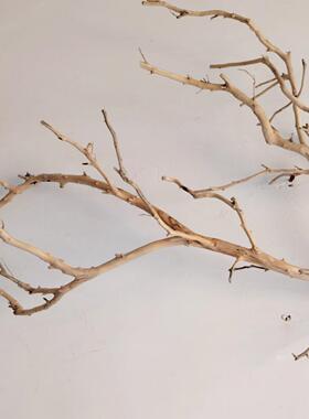 吊灯干枝分枝干树枝装饰树干枯枝室内天花板挂灯插花挂件舞台摆件