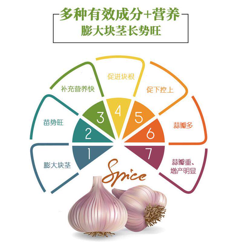 面肥块茎膨大撑破地 补充营养苗势旺促进块根膨大蒜瓣多叶大蒜