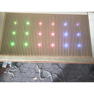 隆鸣三色光子用床负离子床垫电加热电磁波理疗美容院汗蒸馆能量