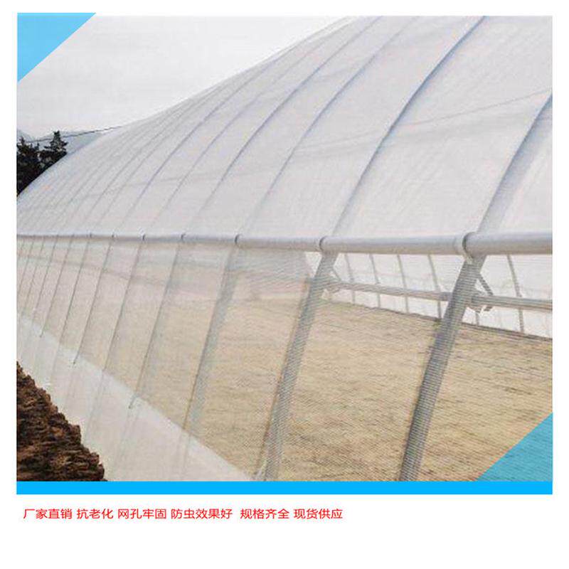 批发聚乙烯加厚果树防虫网温室蔬菜大棚防虫网池塘养殖围网包邮！
