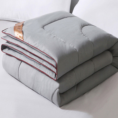 bb4c批发四季丝棉被子被芯秋薄款春秋空调夏凉冬被冬季双人轻