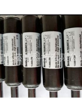 德国BANSBACH自锁式气弹簧：H0A1N52-110-315-002/500N