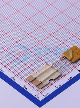 自恢复保险丝 RGEF600-2 插件 16V 6A 原装正品 电子元器件配单