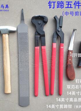 修蹄钉掌五件套剪蹄钳马蹄锉修蹄刀压钉钳修蹄工具天狼马具