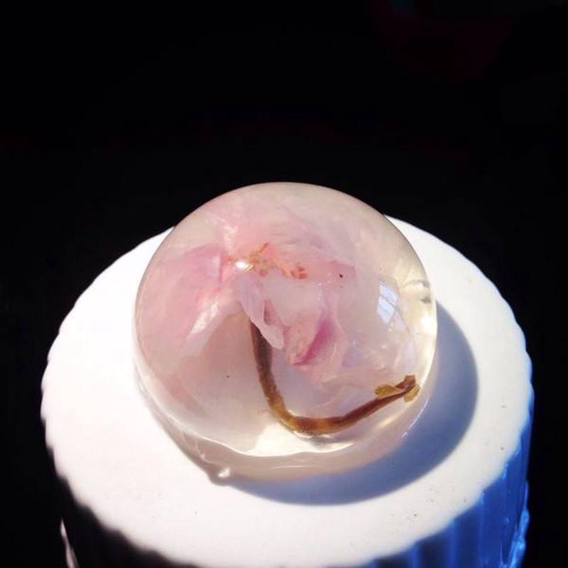 可食用糖渍樱花 盐渍樱花 长柄八重樱水信玄饼烘焙原料慕斯蛋糕