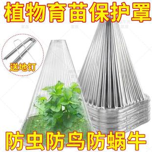 育苗保护罩透明钟罩可重复使用温室大棚免受鸟类霜冻伤害加厚铲子