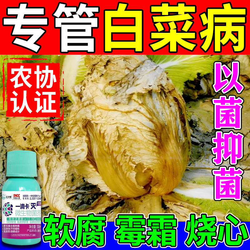 白菜病专用药白菜软腐霜霉根肿烧心病防烂根炭疽病专用微生物菌剂,鲜花速递/花卉仿真/绿植园艺,家庭园艺肥料,淘宝优惠券,粉丝福利购,淘宝优惠卷