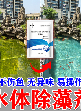 景观除藻剂高浓度喷泉除藻小区景观泳池生态鱼池溪流除绿藻清绿水