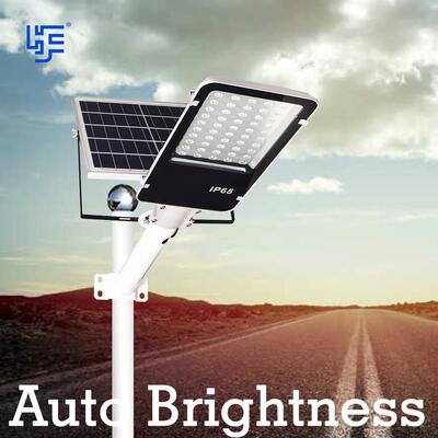 太阳能路灯 LED市政工程户外庭院灯新农村道路照明感应灯