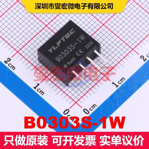 B0303S-1W Through Hole DC-DC转换器 电源模块 电源